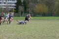 RUGBY CHARTRES 173.JPG